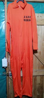 Orange Prisoner Jumpsuit