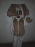Bunny