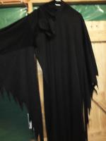 Black Ghost