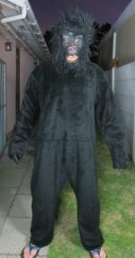 Gorilla