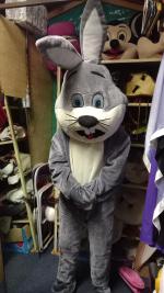 Gray Bunny